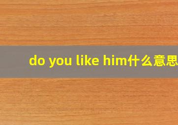 do you like him什么意思